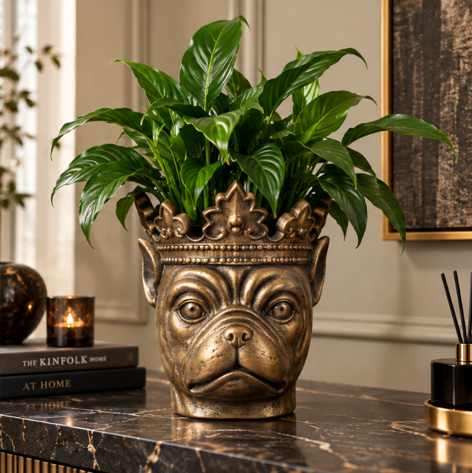 Franse Bulldog bloempot met kroon en plant in interieur